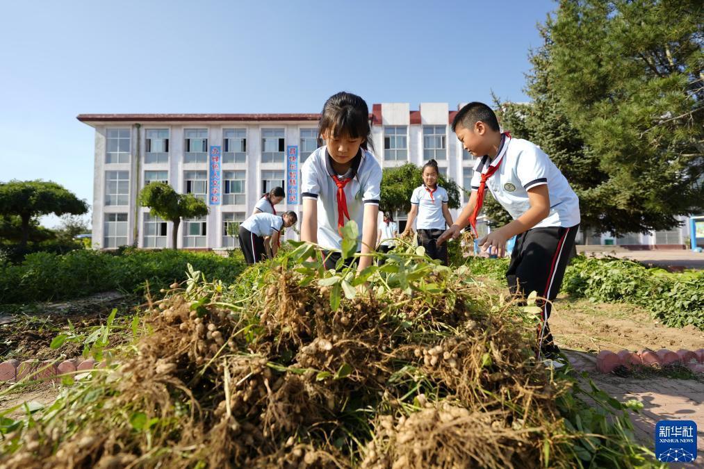 娱乐免费彩金