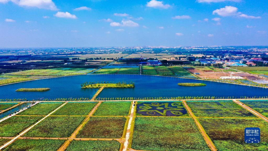 博悦平台注册登录